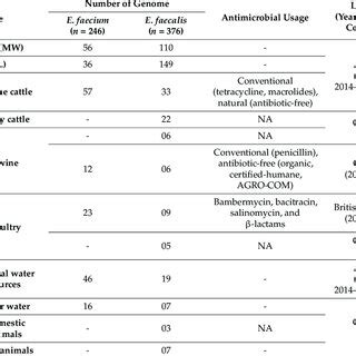 Image result for Enterococcus Faecalis MSA Plate