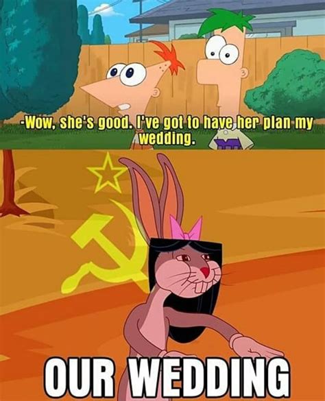 Meme Di Phineas E Ferb 25 Phineas And Ferb Memes To Scroll Through