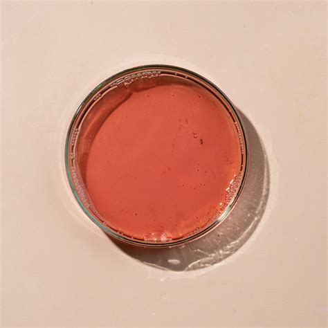 SAGE MORINGA Grey/White Hair Reversal – Audora.in