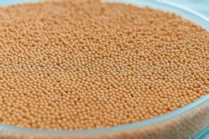 Multi-Unit Particulate System (MUPS) - Stellar Formulations