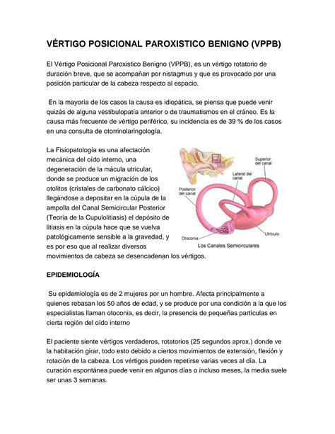 SOLUTION: Resumen vertigo posicional paroxistico benigno - Studypool