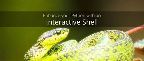 Lightweight Python Shell 的图像结果