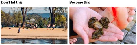 Image result for Is Mussel Is Bad When Is Open