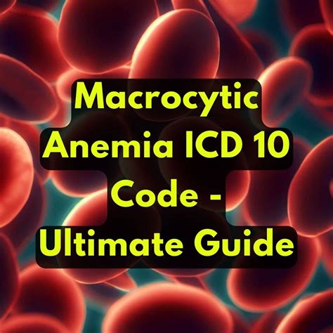 Avoid Macrocytic Anemia ICD 10 Code Error: The Ultimate Guide