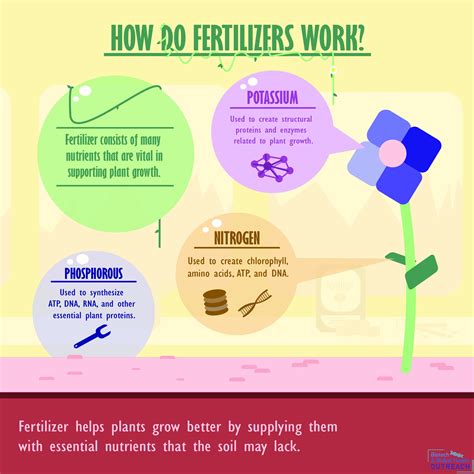 Can Plant Fertilizer Expire at George Tarenorerer blog