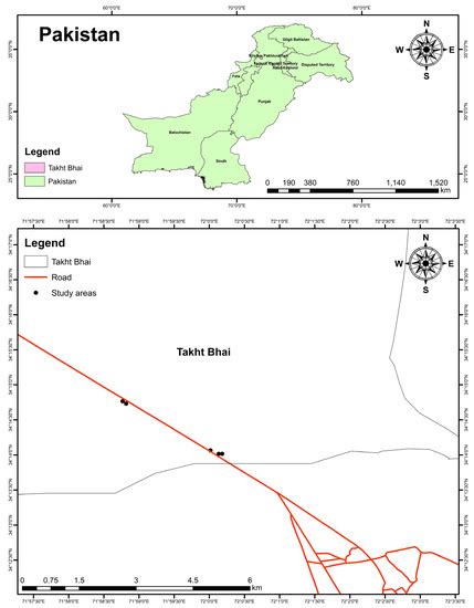 Appraisal of Heavy Metals Accumulation, Physiological Response, and ...