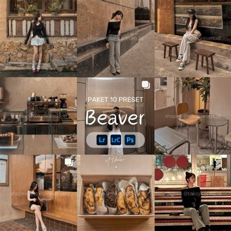 Jual 10 Preset Lightroom Aesthetic Beaver | Filter Lightroom Mobile DNG ...