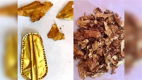 Egypt Golden Tongue Mummy Found: Mummy With Golden Tongue ...