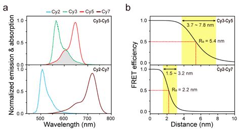 Single-Molecule FRET Detection of Sub-Nanometer Distance Changes in the ...