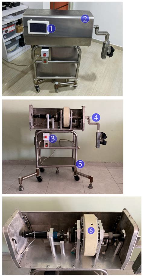 Image result for Dynamic Equilibrium Device Human