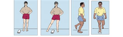 Image result for Side Step-Up Exercise