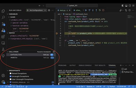 Image result for How Python Debugger in Vscode Work