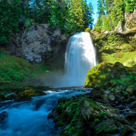 SAHALIE AND KOOSAH FALLS - All You Need to Know BEFORE You Go 2026 ...