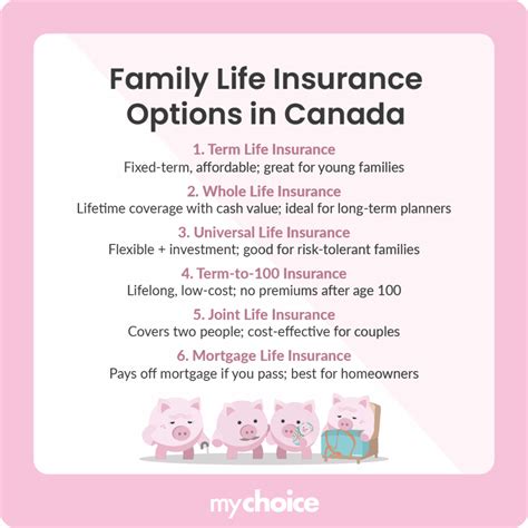 Image result for Life Insurance Options