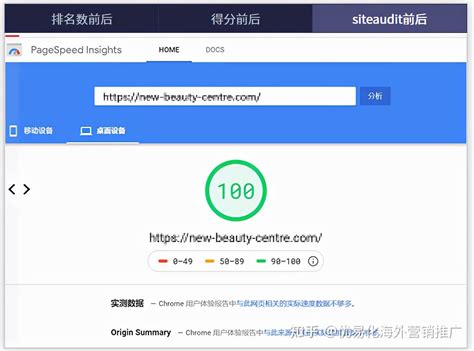 小米网站seo分析报告Word模板下载_编号qowpkpxo_熊猫办公