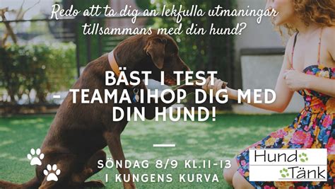Bäst i test - teama ihop dig med din hund!, Dialoggatan 3, Huddinge ...