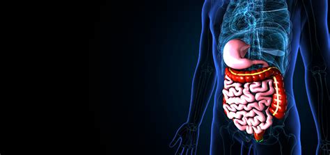 Best Gastroenterology Hospital | Coimbatore, India | PSG Hospitals