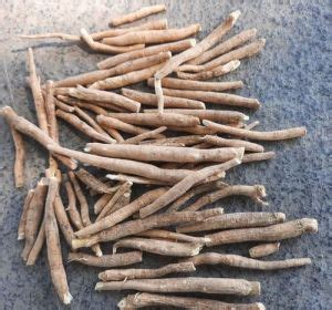 Dry Ashwagandha Root Exporter, Supplier from Murshidabad