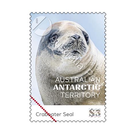 Australian Antarctic Territory – Seals Set of Stamps (2 x $1.50, 2 x $3 ...