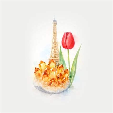 Europe Collection - Vani Kabir Studio