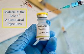 Image result for Antimalarial