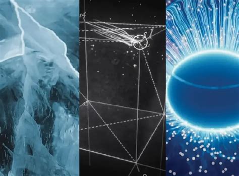 site:www.rigb.org 的图像结果