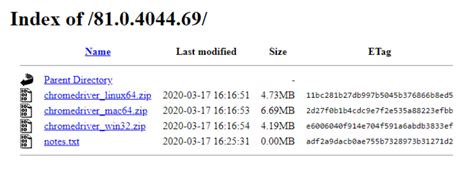 How to Use Selenium to Do Test Automation with Chrome Driver 的图像结果