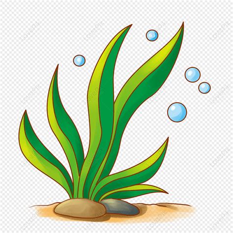 Seaweed, Seaweed Clipart, Underwater World, Jellyfish PNG Image And ...