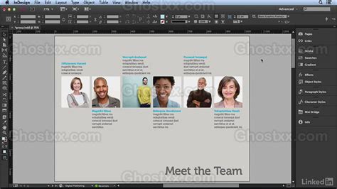 Composition Guides Plugin InDesign 的图像结果