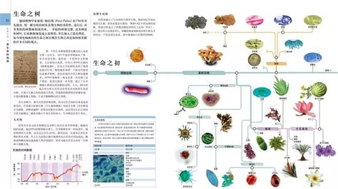 生物界_360百科