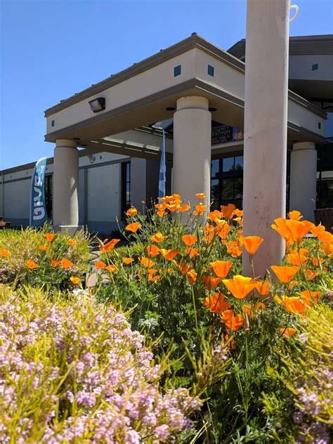 MARIN YMCA - 1500 Los Gamos Dr, San Rafael CA - Hours, Directions ...