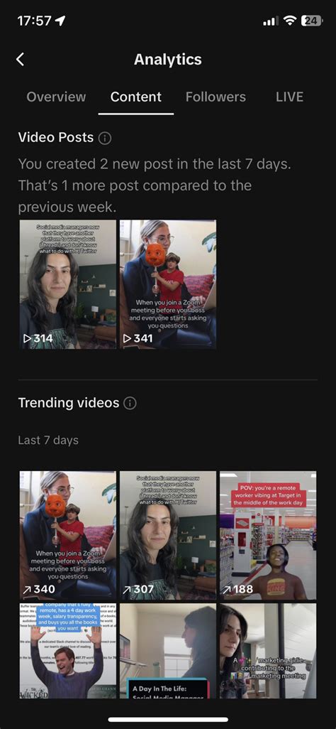 TikTok Analytics 的图像结果