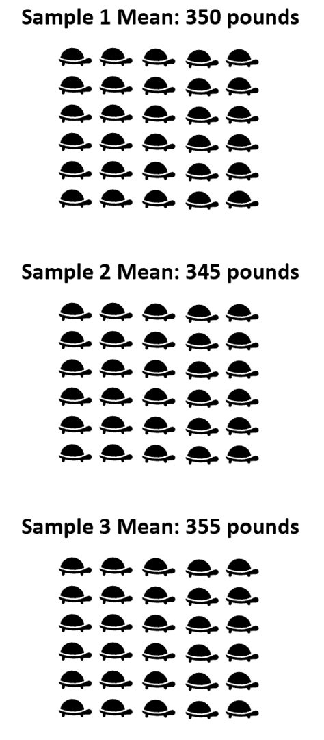 Image result for What Is Sampling Variability in Statistics