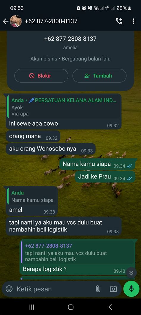 Image result for Suara Wik Wik