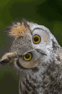 Image result for Python Remove List Using Variable