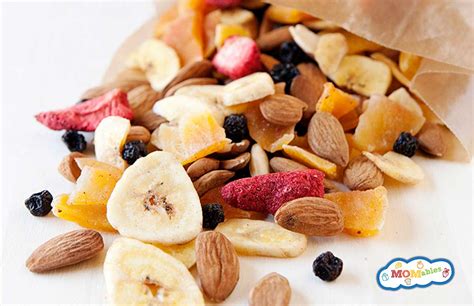 DIY Dry Fruit Snacks – MevaBite