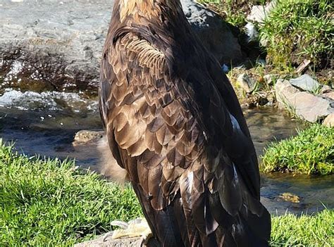 Mongolia Quest (Ulaanbaatar) - All You Need to Know BEFORE You Go