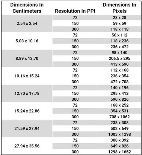 How to Resize Images Without Losing Quality | Shutterstock