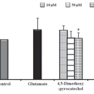 H2O2 HT22 的图像结果