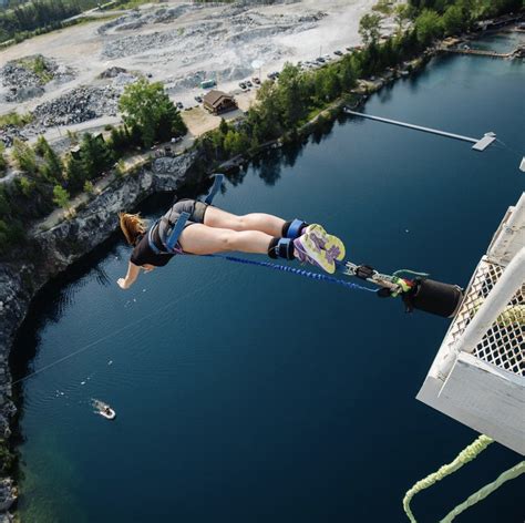Image result for bungee
