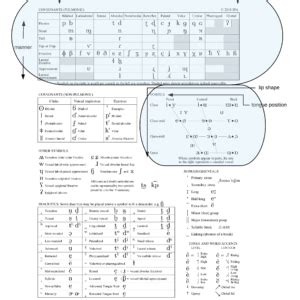 IPA Basic 的图像结果
