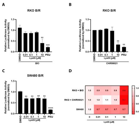 Skeletal Muscle Structure and Function in Health and Disease