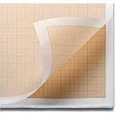 CRAFTWAFT SEMI Log Graph Paper (5 Cycles X 1/10") (10) : Amazon.in ...