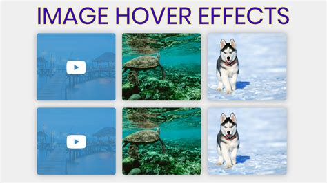 Image result for CSS Image Hover Effects