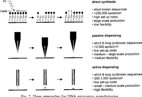 Protection Layer DNA Microarray 的图像结果
