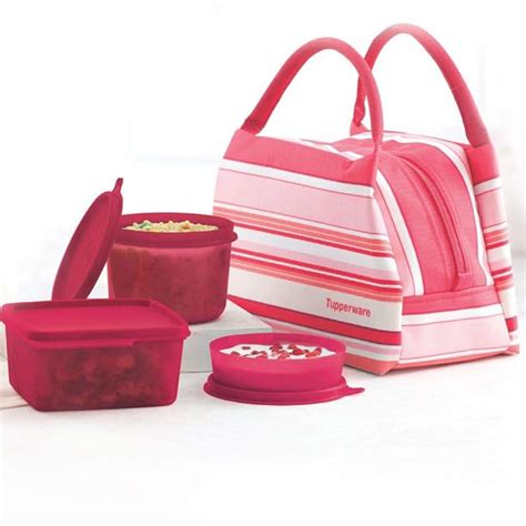 Buy Tupperware Tupin Plastic Spring Surprise Lunch Set (Pink),500ML ...