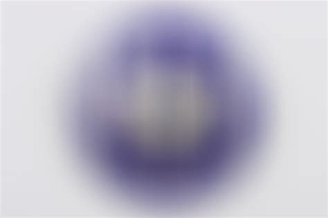 ratisbon's | NS National Socialist League of the Reich for Physical ...