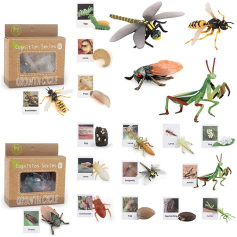 Buy MIKNEKE Life Cycle Animal Figurines Learning & Education Toys ...