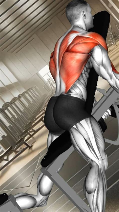 Image result for Chicken Wing Exercise