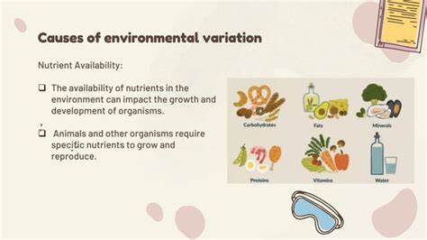 Image result for Environmental Variation